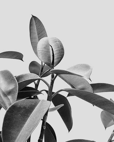 family stay resort in vagamon